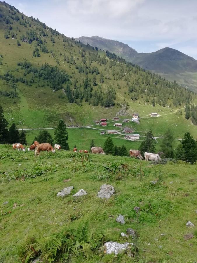 Hotel Almhof
